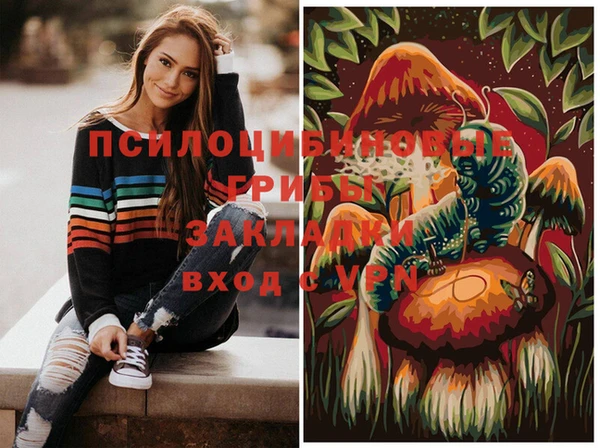 spice Алзамай