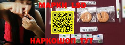 mdpv Славгород