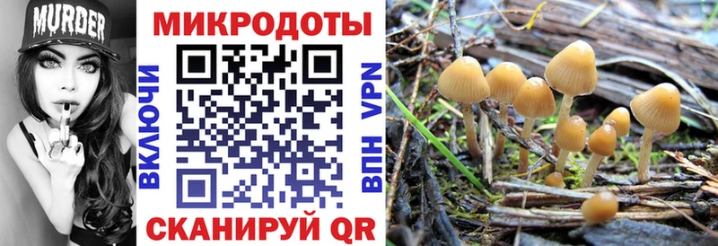 Галлюциногенные грибы Psilocybe  Старый Оскол 