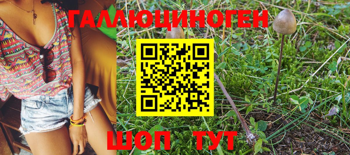 закладки  Псилоцибиновые грибы Psilocybe  Вход с VPN  Старый Оскол 