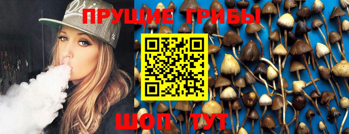 Галлюциногенные грибы GOLDEN TEACHER Старый Оскол